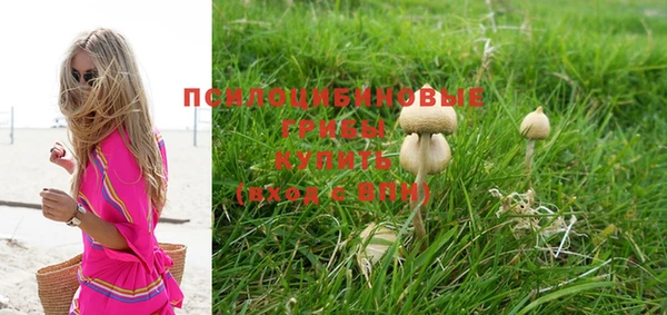прущие крисы Армянск