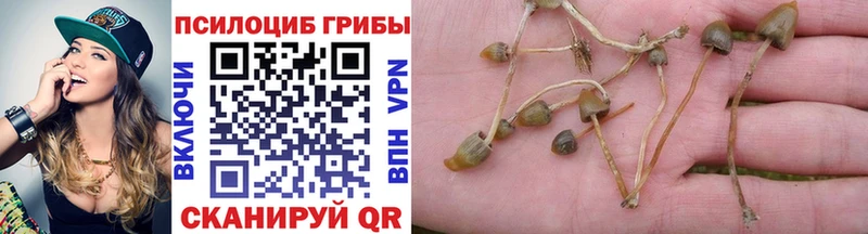 наркотики  Усолье  Галлюциногенные грибы прущие грибы 